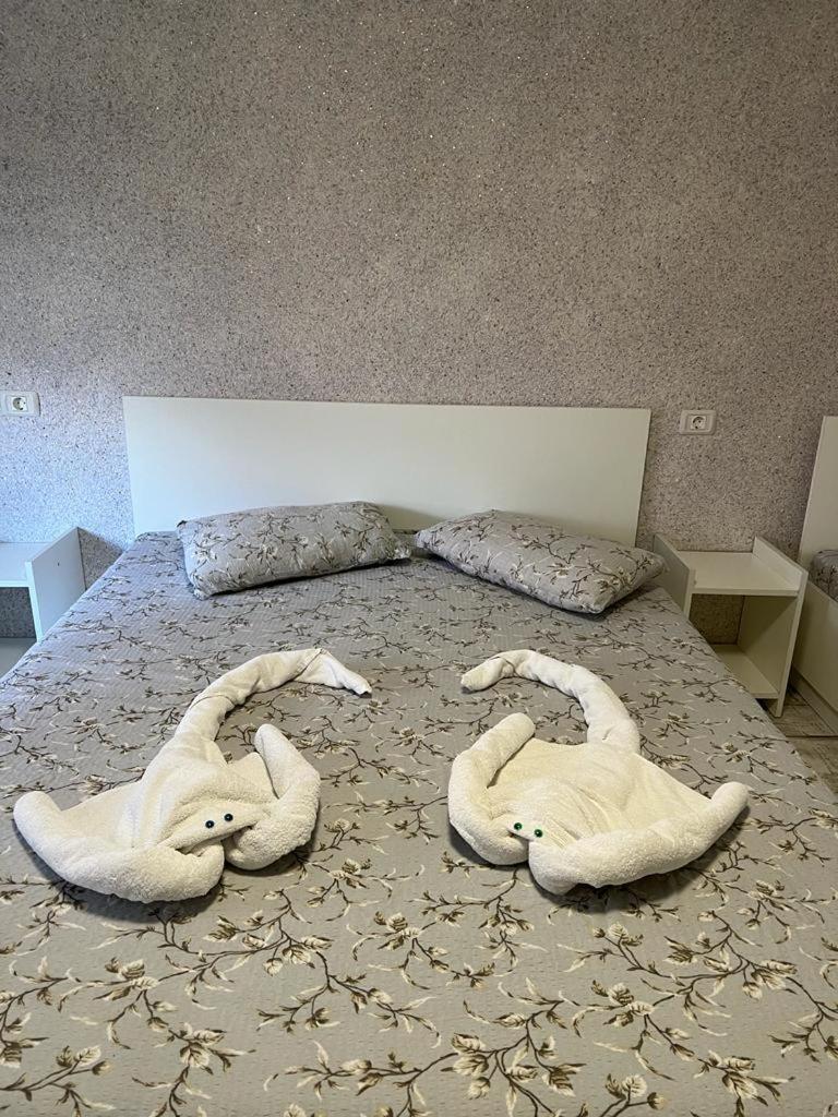Amalya Hotel Constanta Exterior photo